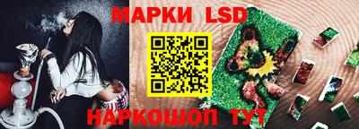 mdpv Новодвинск