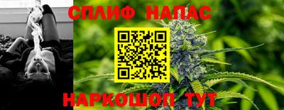 mdpv Новодвинск