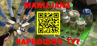 mdpv Новодвинск