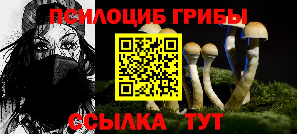 Псилоцибиновые грибы Magic Shrooms Петрозаводск