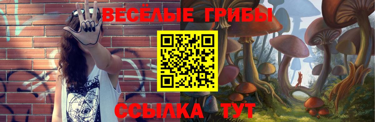 Петрозаводск  купить наркотики сайты  Вход с VPN  Псилоцибиновые грибы Psilocybe 